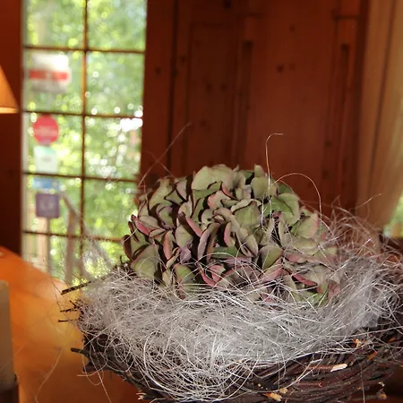 Szálloda Welschen 4*